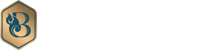 BINFA Luxury Chauffeured Van Logo