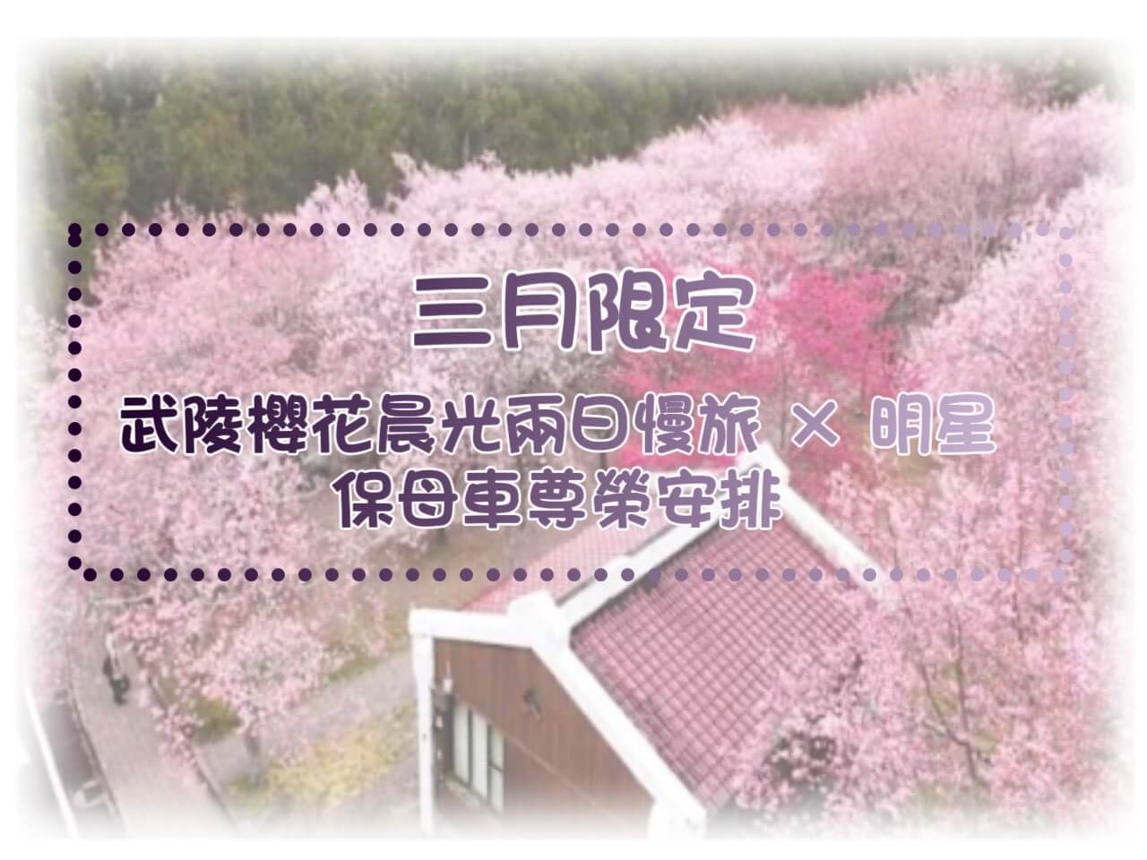 賓法明星保母車的優惠快報圖片